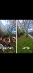 We Cut Grass!
