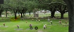 2 Burial Plots - Memory Gardens (Nederland)