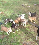 You know what you need?.