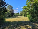 4+/- acres Hillister