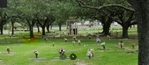 2 Burial Plots - Memory Gardens (Nederland)