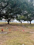 Cemetery plots