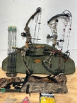 Compound bows