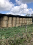 4x5 Bahia Round Bales $50.00 ea..