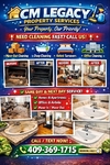 ✨ Professional Cleaning Services