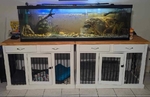 Solid Wood Indoor Dog Crates