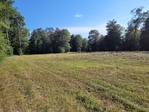 4+/- acres Hillister