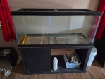 Two 75 gallon aquariums up for sale.