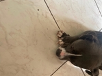I’m looking for a forever home