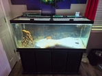 Two 75 gallon aquariums up for sale.