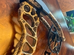 Mathews Vertix Bow