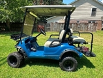 2011 Yamaha  Drive - Electric