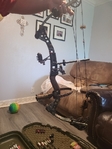 Left handed compound bow
