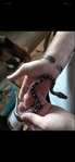 Ball Python