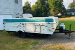 Palomino 4124