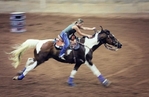 APHA Finished Barrel/Pole Mare