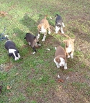 You know what you need?.