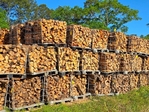 Firewood &/or cooking wood