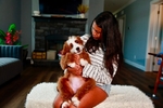 Bernedoodle Guardian Home