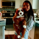 Bernedoodle Guardian Home