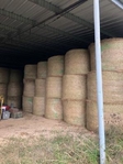 4x5 Bahia Round Bales $50.00 ea..