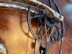 Mathews Vertix Bow