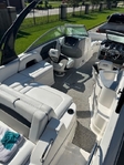 Chaparral Sunesta 224