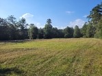 4+/- acres Hillister