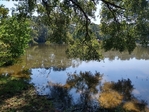 Lake front home on wooded lot