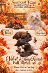 AKC Chocolate & Tan Female Yorkies