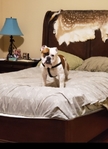 BED - SLEEPNUMBER - QUEEN