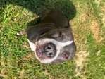 I’m looking for a forever home