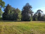 4+/- acres Hillister