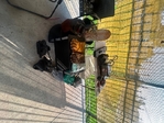 Garage sale Saturday May 2,2026