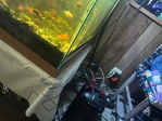 44 planted aquarium and supplies
