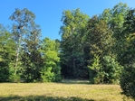 4+/- acres Hillister