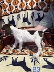 Akc German shorthaired pointer puppies!