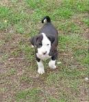 You know what you need?.