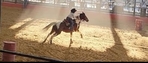 APHA Finished Barrel/Pole Mare