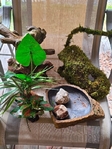 Glass enclosure and miscellaneous assorories