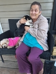 Female Corgi
