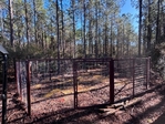 Got a wild hog problem? Call Texas Feral Hog Trappers