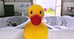 Hot Tubs/Swim Spas/Above Ground Pools!