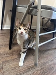 Looking to rehome!