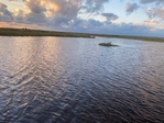 Duck Blind for lease