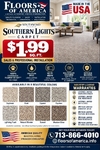 SOUTHWIND FLOORS: SOUTHERN LIGHTS CARPET