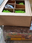 Glass enclosure and miscellaneous assorories