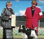 AKC CHAMPION BLOODLINE CAVALIER KING CHARLES SPANIEL