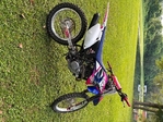 Yamaha TTR 230