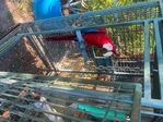 Macaw Parrot